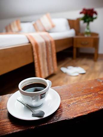 Imagen de la habitación del Hotel wellness hotel kolštejn. Foto 8