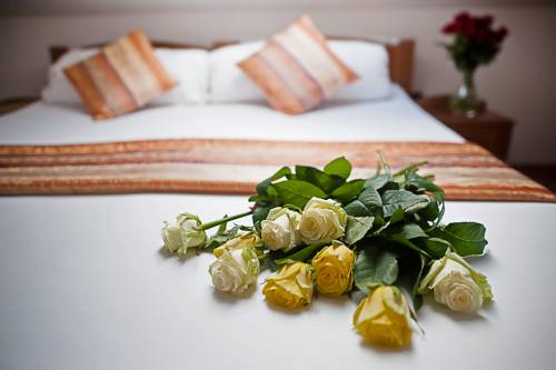 Imagen de la habitación del Hotel wellness hotel kolštejn. Foto 10