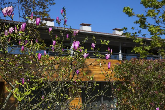 Imagen de la habitación del Hotel y Apartamentos Casona De La Paca. Foto 10