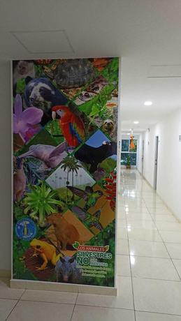 Imagen de los interiores del Hotel y Parqueadero la Inmaculada. Foto 6