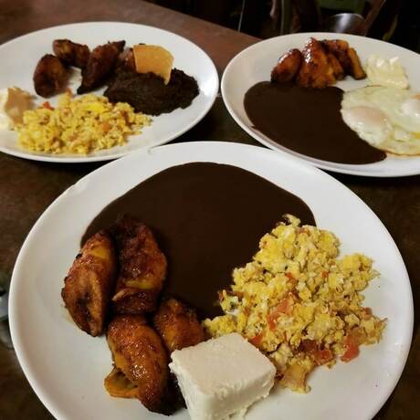 Imagen general del Hotel y Restaurante Casa Jardines. Foto 8