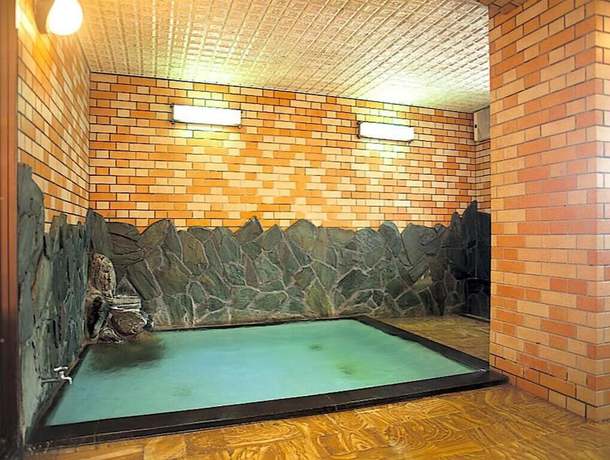 Imagen general del Hotel yuzawahotel. Foto 3