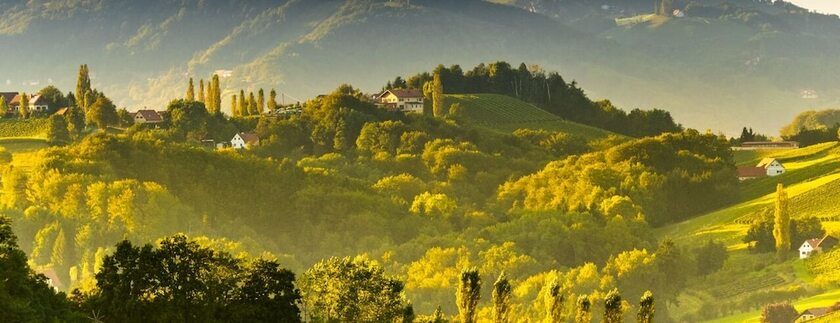 Imagen general del Hotel zum Sausaler - S&uuml;dsteiermark. Foto 18