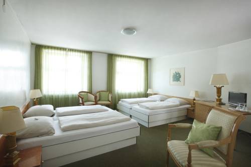 Imagen de la habitación del Hotel zum Spalenbrunnen, Basilea. Foto 14