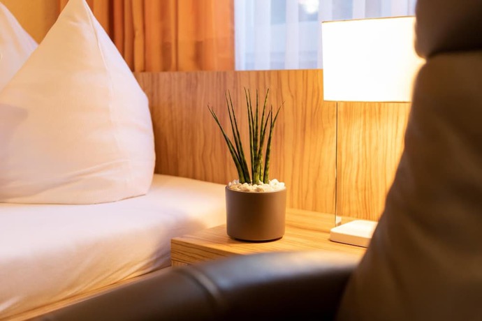Imagen de la habitación del Hotel zum Steinhof. Foto 7