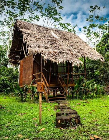Imagen de la habitación del Lodge Amak Iquitos Ecolodge. Foto 16