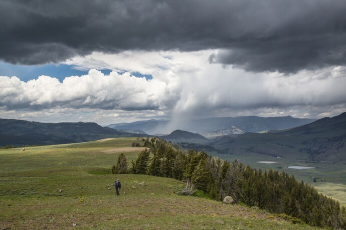 Imagen general del Lodge Cabin Village. Foto 15