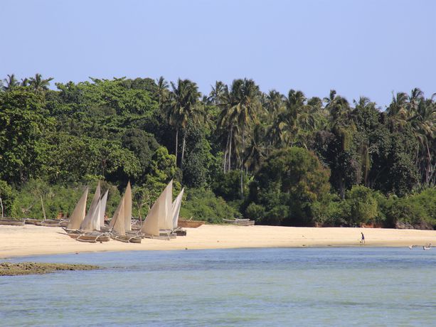 Imagen de los exteriores del Lodge Chuini Zanzibar Beach Lodge. Foto 11