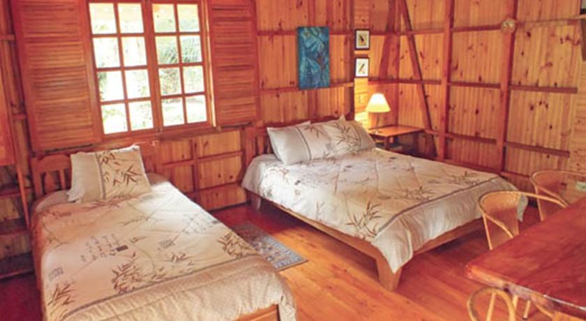Imagen de la habitación del Lodge Ciudad P&eacute;rdida Ecolodge. Foto 3