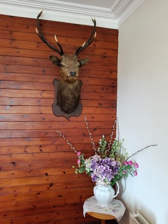 Imagen de los interiores del Lodge Glenan Self Catering. Foto 18