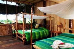 Imagen de la habitación del Lodge Hatuchay Pacaya Samiria Amazon Lodge. Foto 3