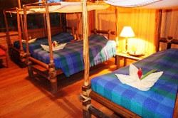 Imagen de la habitación del Lodge Hatuchay Pacaya Samiria Amazon Lodge. Foto 4