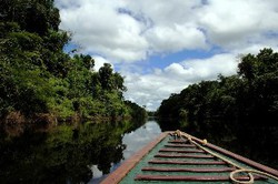 Imagen de los exteriores del Lodge Hatuchay Pacaya Samiria Amazon Lodge. Foto 6