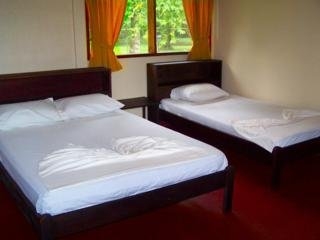 Imagen de la habitación del Lodge Ilan Ilan Caribbean Lodge. Foto 5