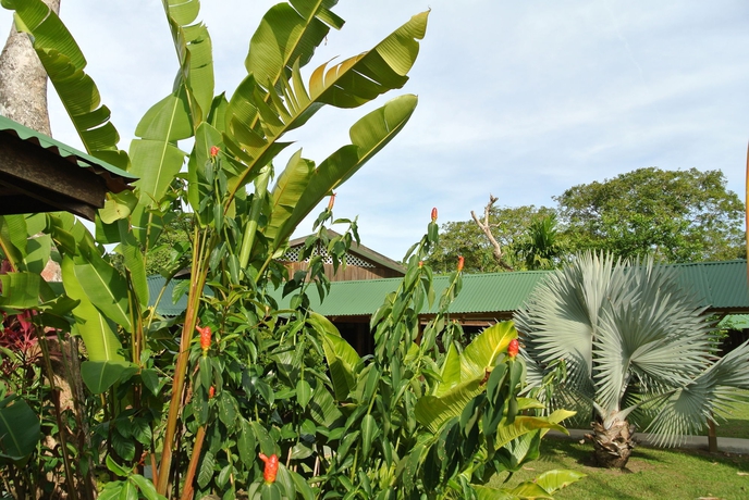 Imagen de los exteriores del Lodge Mawamba. Foto 7