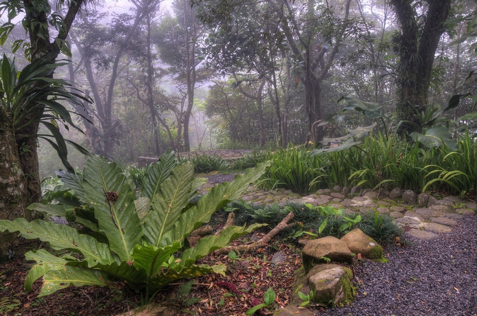 Imagen de los exteriores del Lodge Monteverde and Gardens By Böëna. Foto 12