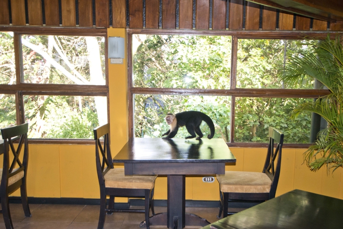 Imagen del bar/restaurante del Lodge Monteverde and Gardens By Böëna. Foto 7