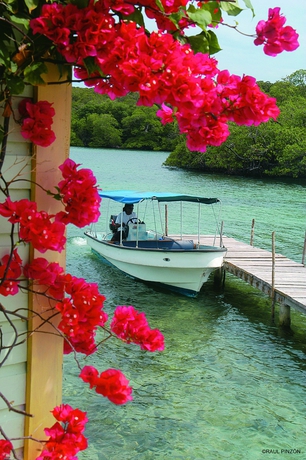 Imagen de los exteriores del Lodge Punta Caracol Acqua. Foto 13