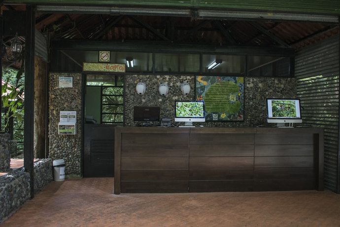 Imagen de los interiores del Lodge Tapirus. Foto 19
