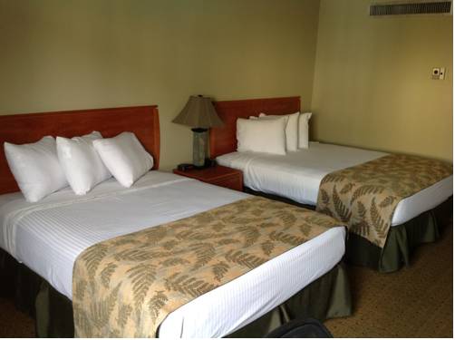 Imagen de la habitación del Lodge The Dakota. Foto 9