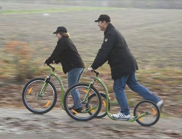 Imagen general del Lodge Veluwse Poort. Foto 1