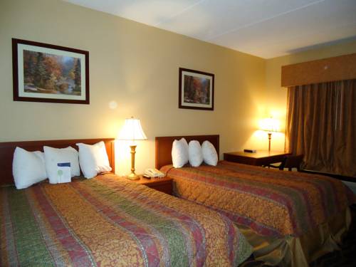 Imagen de la habitación del Motel 6 Kingsport, Tn. Foto 8