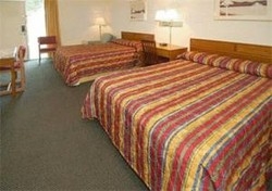 Imagen de la habitación del Motel 6 Mcdonough, Ga. Foto 1