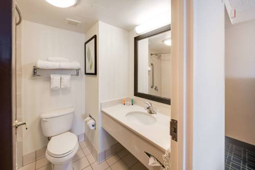 Imagen de la habitación del Motel 6 Milford, Ct. Foto 14