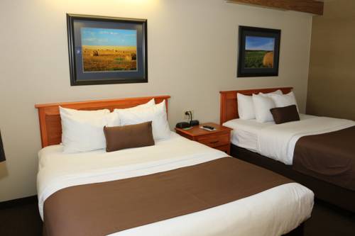 Imagen de la habitación del Motel 6 Minot, Nd. Foto 8
