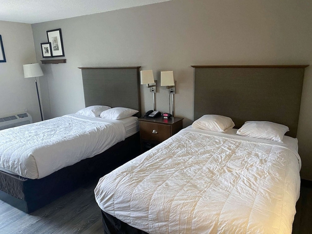 Imagen de la habitación del Motel 6 Rochester. Foto 3