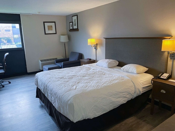 Imagen de la habitación del Motel 6 Rochester. Foto 7