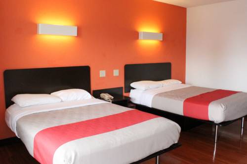 Imagen de la habitación del Motel 6 Winchester, Va. Foto 3