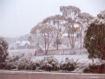 Imagen de la habitación del Motel Acacia Snowy. Foto 7