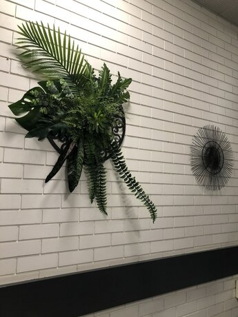 Imagen general del Motel Adelaide Airport. Foto 10