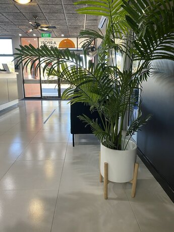 Imagen general del Motel Adelaide Airport. Foto 14