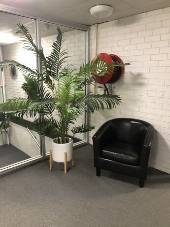 Imagen general del Motel Adelaide Airport. Foto 15