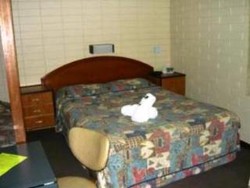 Imagen de la habitación del Motel Adelaide Backpackers. Foto 5