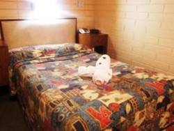 Imagen de la habitación del Motel Adelaide Backpackers. Foto 6