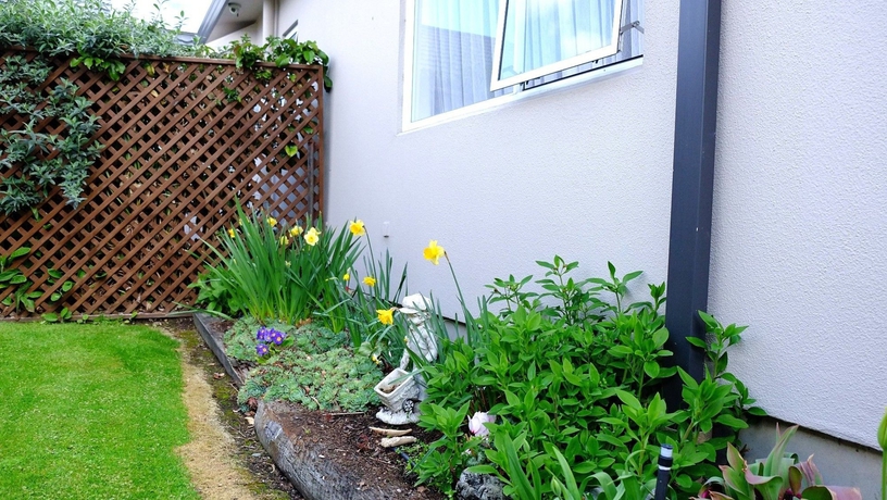 Imagen de los exteriores del Motel Airport Birches. Foto 14