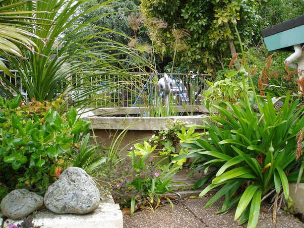 Imagen de los exteriores del Motel Airport Gold Star. Foto 10