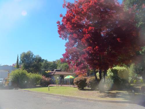 Imagen de la habitación del Motel All Seasons Armidale. Foto 3