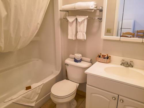 Imagen de la habitación del Motel Alpine, Jackson. Foto 5