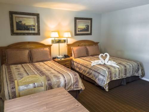 Imagen de la habitación del Motel Alpine, Jackson. Foto 9