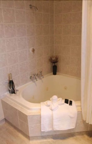 Imagen general del Motel Alpine Rose. Foto 8