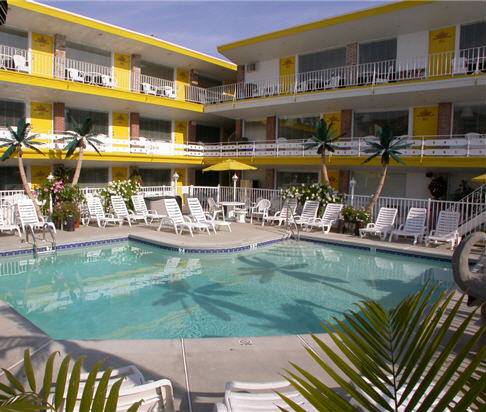 Imagen de la habitación del Motel American Safari. Foto 2