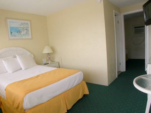 Imagen de la habitación del Motel American Safari. Foto 9