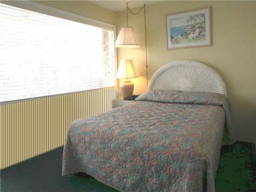 Imagen de la habitación del Motel American Safari. Foto 14