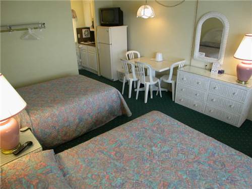 Imagen de la habitación del Motel American Safari. Foto 15