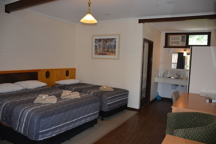 Imagen de la habitación del Motel Angaston Vineyards. Foto 9