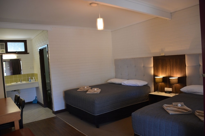 Imagen de la habitación del Motel Angaston Vineyards. Foto 13